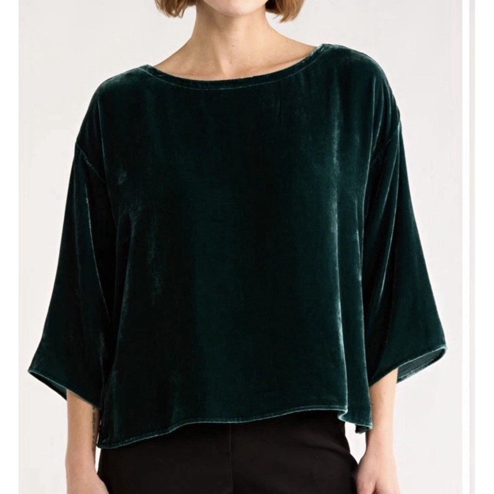 Eileen Fisher Womens Green Velvet Rayon Silk Blouse 3/4 Sleeve Round Neck L